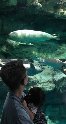 大洗水族館での画像