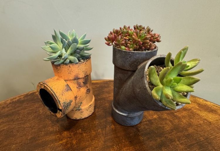 サビサビ　3B3Bの商品